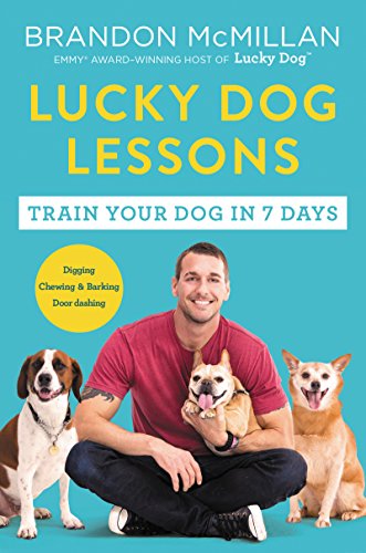 Lucky Dog Lessons: From Renowned Expert Dog Trainer and Host of Lucky Dog: Reunions von HarperOne